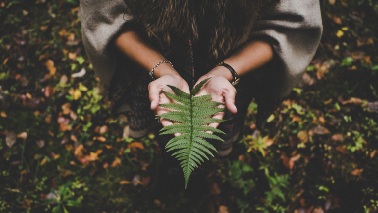 mulher com uma folha verde em mãos