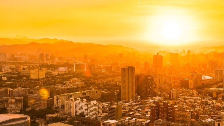 Natureza em chamas: relatos de um novembro perigoso demais