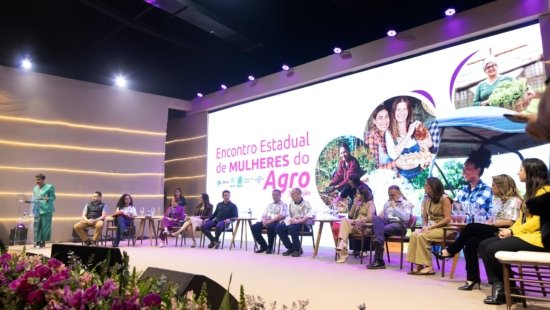 Divulgação/ Sebrae